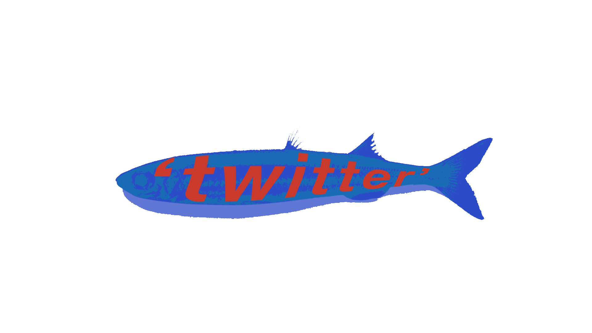 twitter link